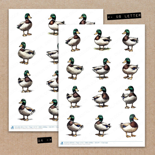 DDD010386_FC Mallard Duck Illustration Fussy Cut Sheets