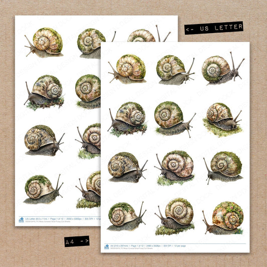DDD010479_FC Moss Covered Snail Fussy Cut Sheets