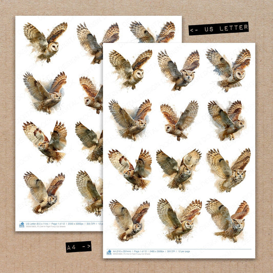 DDD010605_FC Owl In Flight Fussy Cut Sheets