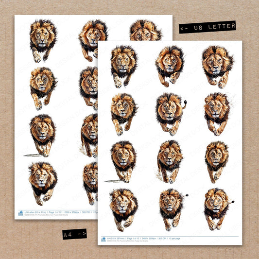 A4 and US Letter format comparison showing Pouncing Male Lion fussy cut pages for print and cut crafting