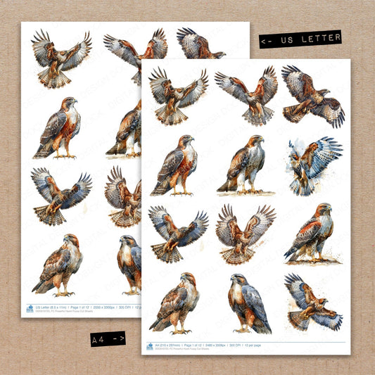 A4 and US Letter format comparison showing Powerful Hawk fussy cut pages for print and cut crafting