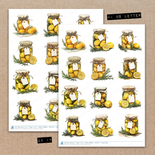 A4 and US Letter format comparison showing Preserved Lemons in Jar fussy cut pages for print and cut crafting