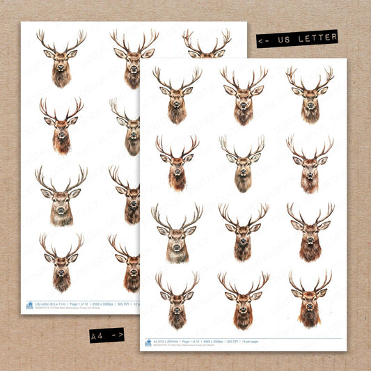 A4 and US Letter format comparison showing Red Deer Watercolour fussy cut pages for print and cut crafting
