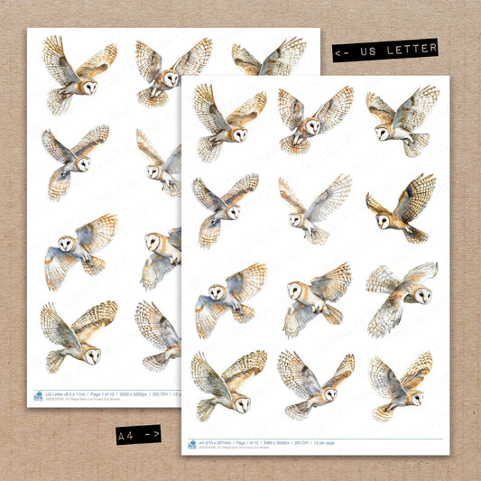 Regal Barn Owl Fussy Cut Sheets (DDD010782)