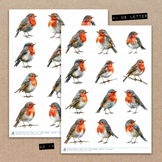 A4 and US Letter format comparison showing Robin Red Breast fussy cut pages for print and cut crafting