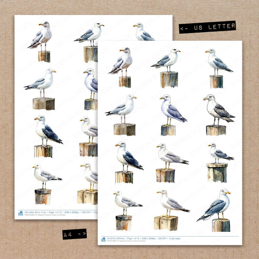 A4 and US Letter format comparison showing Seagull Perched fussy cut pages for print and cut crafting
