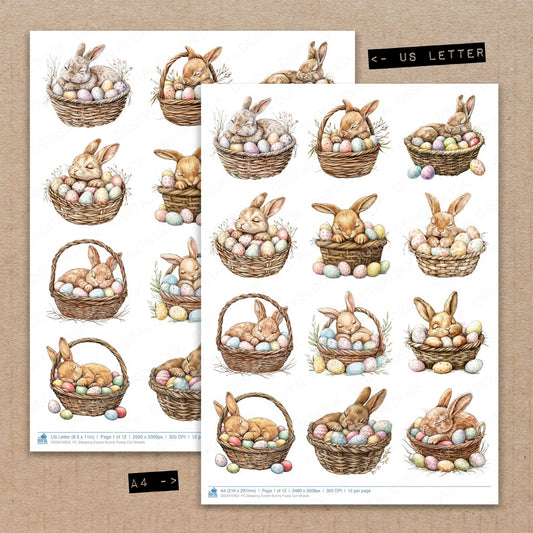 A4 and US Letter format comparison showing Sleeping Easter Bunny fussy cut pages for print and cut crafting