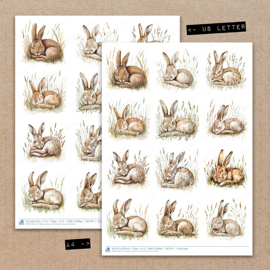 A4 and US Letter format comparison showing Sleepy Hare in Tall Grass fussy cut pages for print and cut crafting