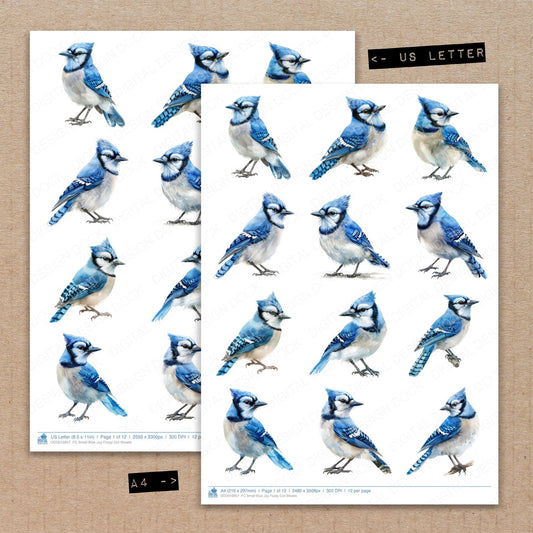 A4 and US Letter format comparison showing Small Blue Jay fussy cut pages for print and cut crafting