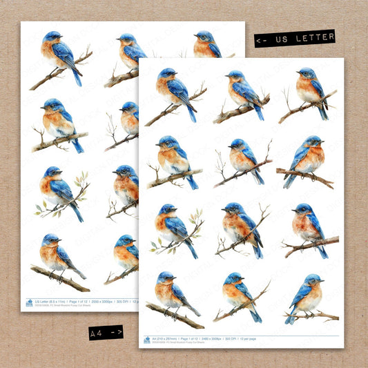 A4 and US Letter format comparison showing Small Bluebird fussy cut pages for print and cut crafting