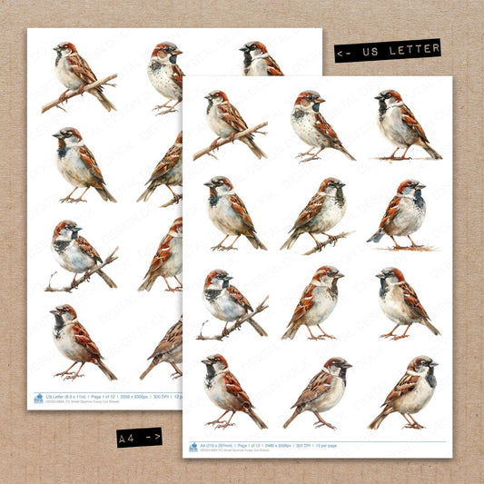 A4 and US Letter format comparison showing Small Sparrow fussy cut pages for print and cut crafting