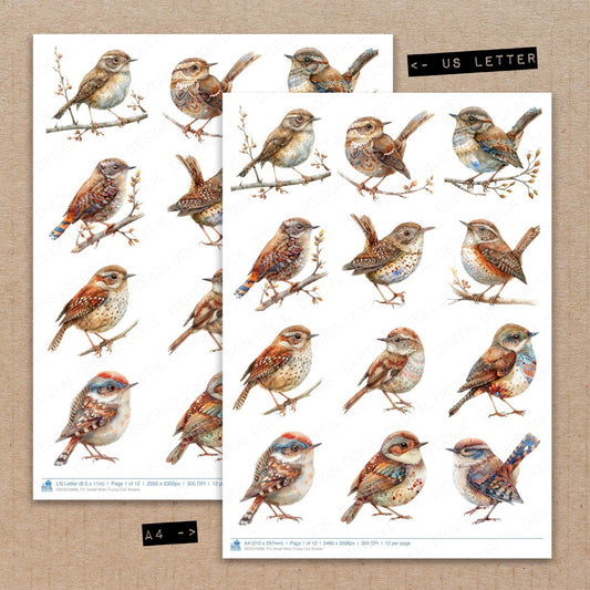 Small Wren Fussy Cut Sheets (DDD010966)