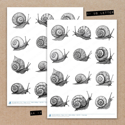 A4 and US Letter format comparison showing Snail Drawing fussy cut pages for print and cut crafting