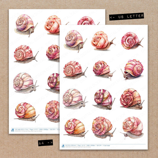 A4 and US Letter format comparison showing Snail with Rose Shell fussy cut pages for print and cut crafting