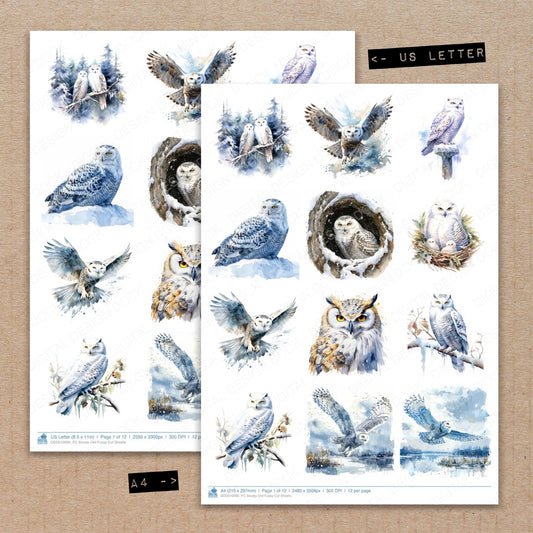 A4 and US Letter format comparison showing Snowy Owl fussy cut pages for print and cut crafting