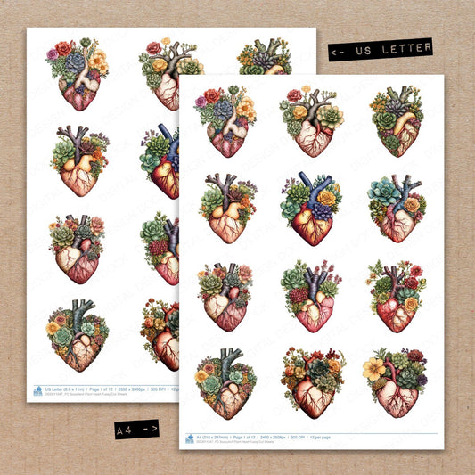 A4 and US Letter format comparison showing Succulent Plant Heart fussy cut pages for print and cut crafting