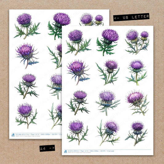A4 and US Letter format comparison showing Thistle Flower fussy cut pages for print and cut crafting