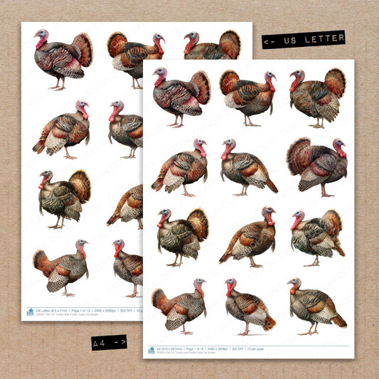 A4 and US Letter format comparison showing Turkey Side Profile fussy cut pages for print and cut crafting