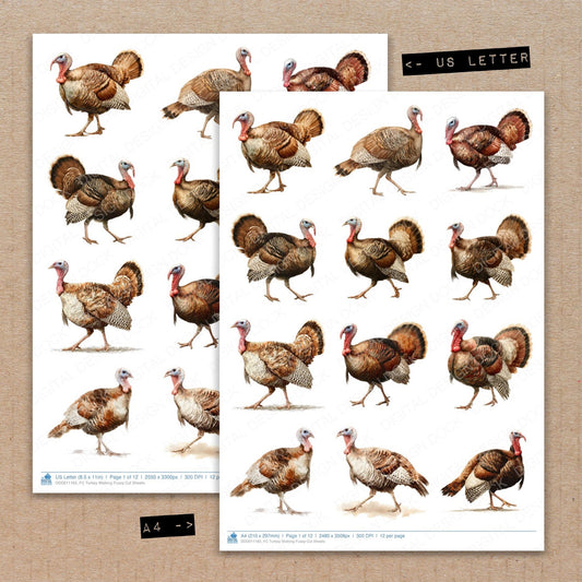 A4 and US Letter format comparison showing Turkey Walking fussy cut pages for print and cut crafting