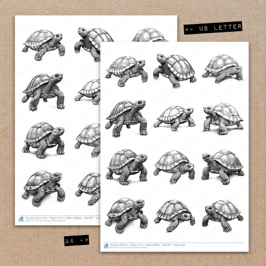 A4 and US Letter format comparison showing Turtle Drawing fussy cut pages for print and cut crafting
