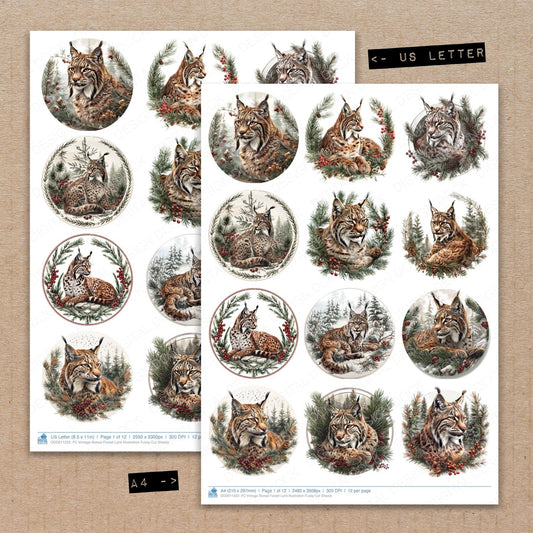 A4 and US Letter format comparison showing Vintage Boreal Forest Lynx Illustration fussy cut pages for print and cut crafting