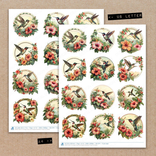 A4 and US Letter format comparison showing Vintage Floral Hummingbird Illustration fussy cut pages for print and cut crafting