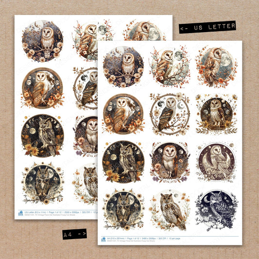 A4 and US Letter format comparison showing Vintage Floral Owl Illustration fussy cut pages for print and cut crafting