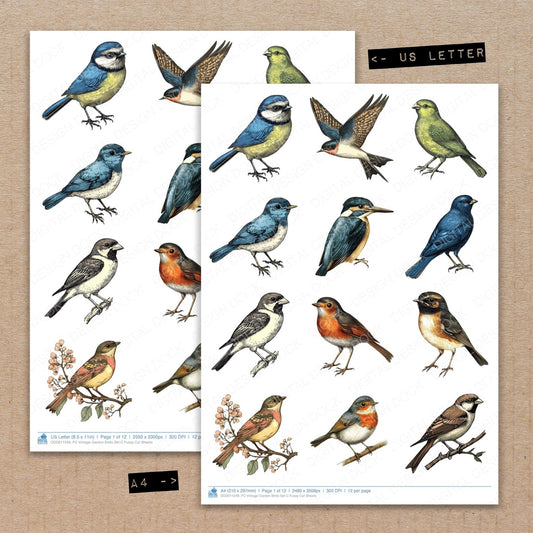 A4 and US Letter format comparison showing Vintage Garden Birds C fussy cut pages for print and cut crafting