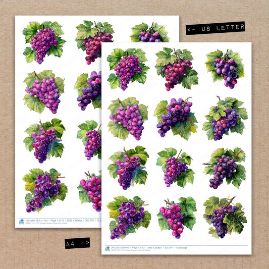 A4 and US Letter format comparison showing Vintage Grapes fussy cut pages for print and cut crafting