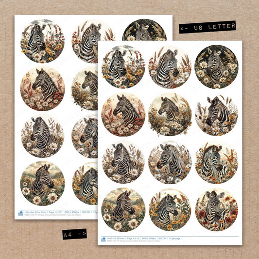 A4 and US Letter format comparison showing Vintage Grassland Zebra Illustration fussy cut pages for print and cut crafting