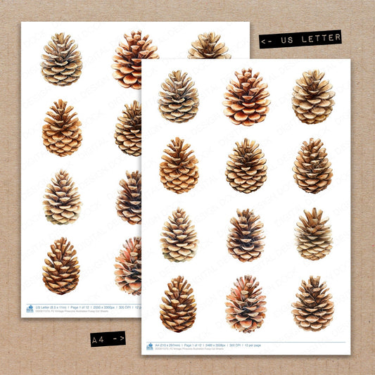 A4 and US Letter format comparison showing Vintage Pinecone Illustration fussy cut pages for print and cut crafting