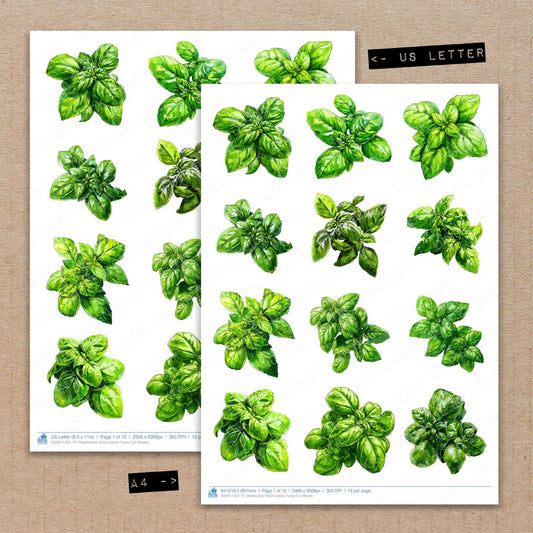 A4 and US Letter format comparison showing Watercolour Basil Leaves fussy cut pages for print and cut crafting
