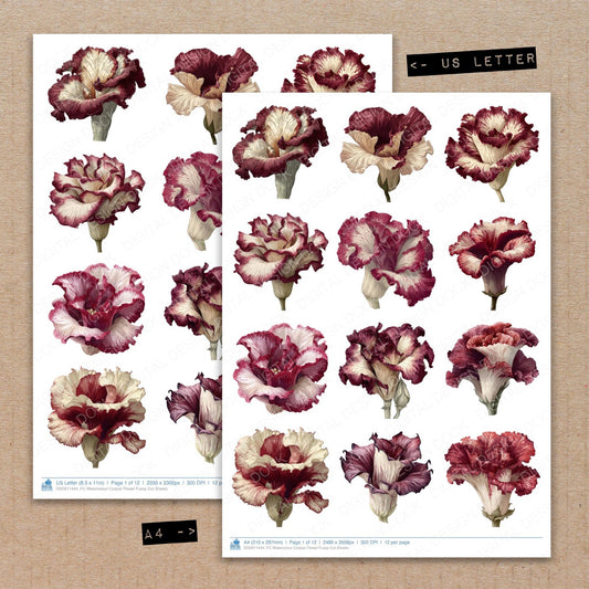 A4 and US Letter format comparison showing Watercolour Corpse Flower fussy cut pages for print and cut crafting
