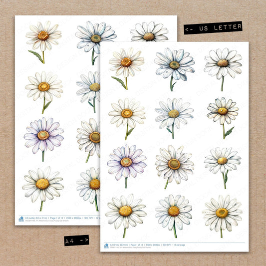 Watercolour Daisy Fussy Cut Sheets (DDD011462)