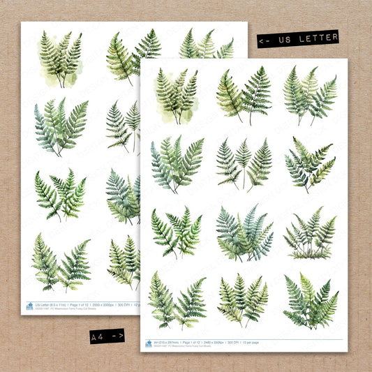 A4 and US Letter format comparison showing Watercolour Ferns fussy cut pages for print and cut crafting