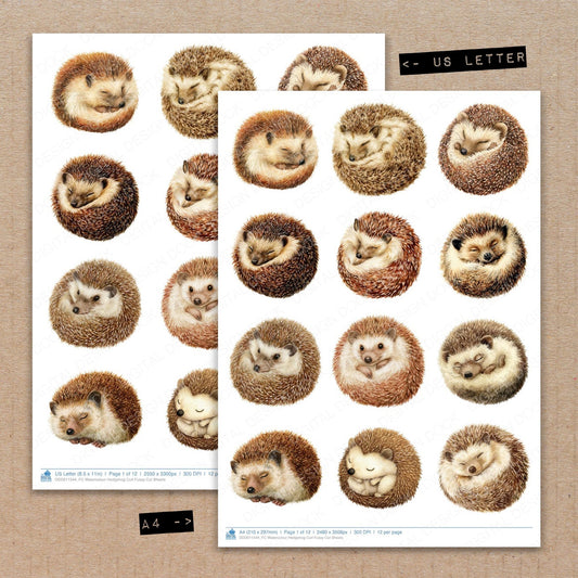 A4 and US Letter format comparison showing Watercolour Hedgehog Curl fussy cut pages for print and cut crafting