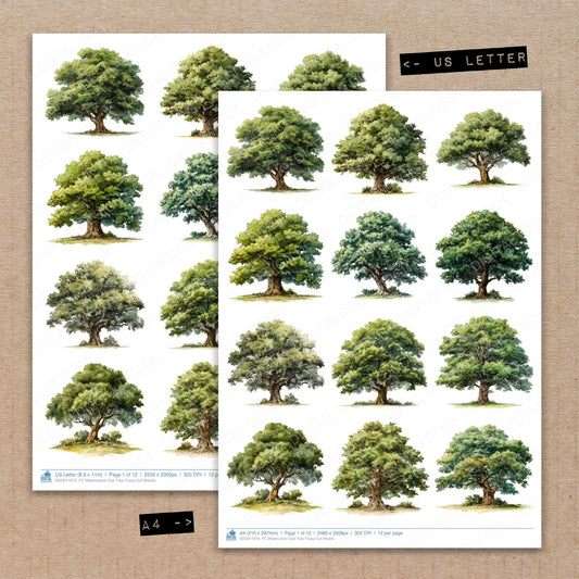 A4 and US Letter format comparison showing Watercolour Oak Tree fussy cut pages for print and cut crafting