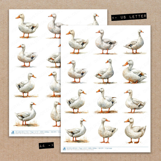 A4 and US Letter format comparison showing Watercolour White Duck fussy cut pages for print and cut crafting