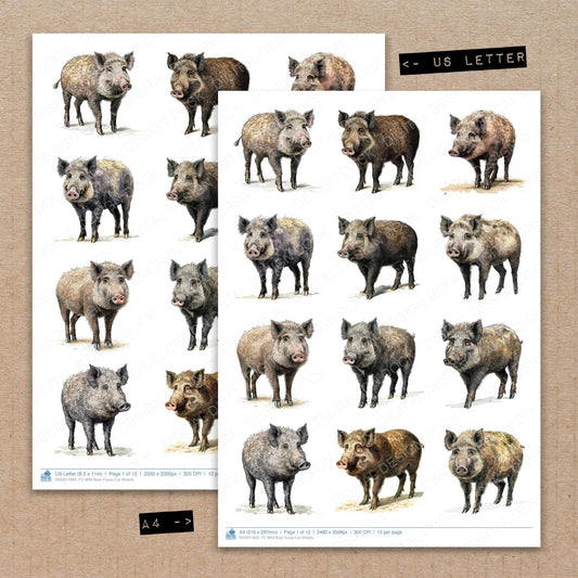 A4 and US Letter format comparison showing Wild Boar fussy cut pages for print and cut crafting