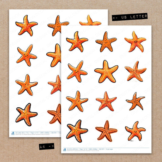 A4 and US Letter format comparison showing Simple Minimal Starfish Illustration fussy cut pages for print and cut crafting