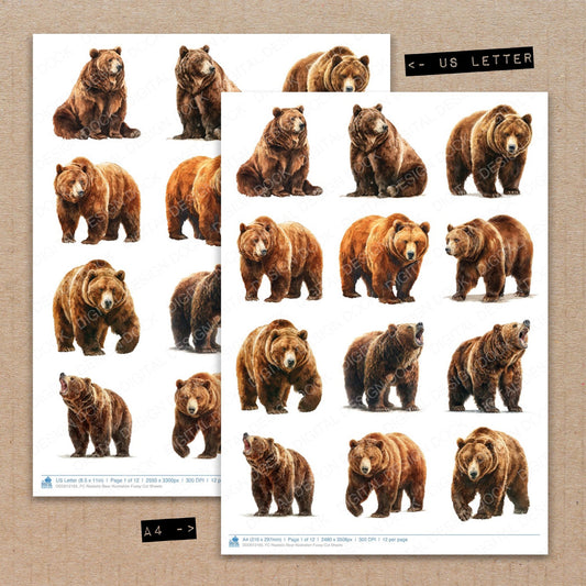 A4 and US Letter format comparison showing Realistic Bear Illustration fussy cut pages for print and cut crafting
