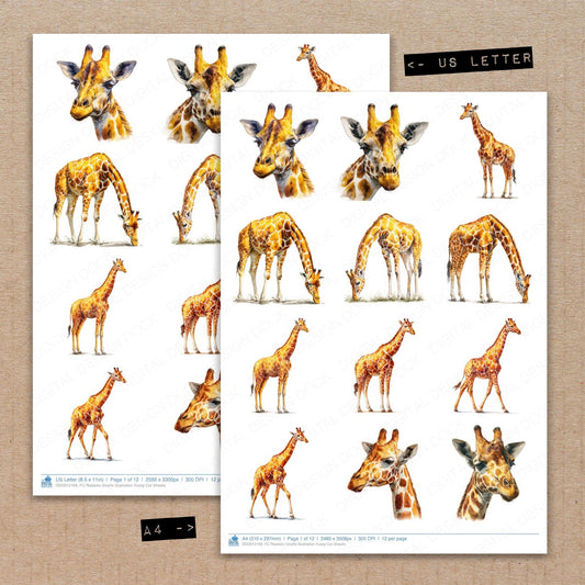 A4 and US Letter format comparison showing Realistic Giraffe Illustration fussy cut pages for print and cut crafting