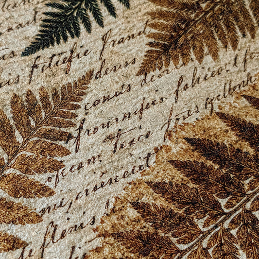 Vintage Paper Fern Script Ivory Digital Paper Pack (DDD012345)