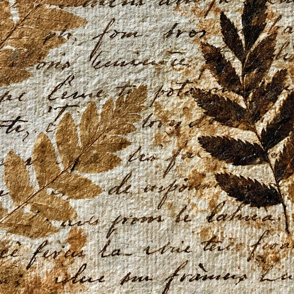 Vintage Paper Fern Script Ivory Digital Paper Pack (DDD012345)