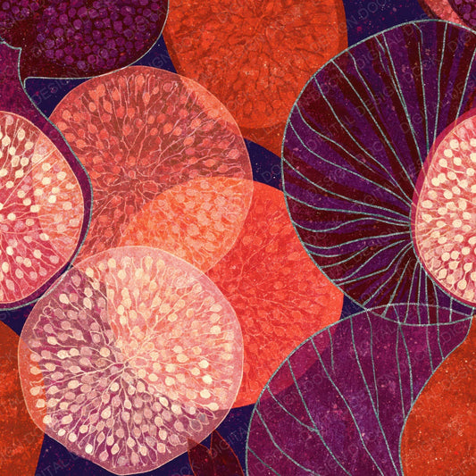 Xray Fig Pomegranate Coral Wine Digital Paper Pack (DDD012351)