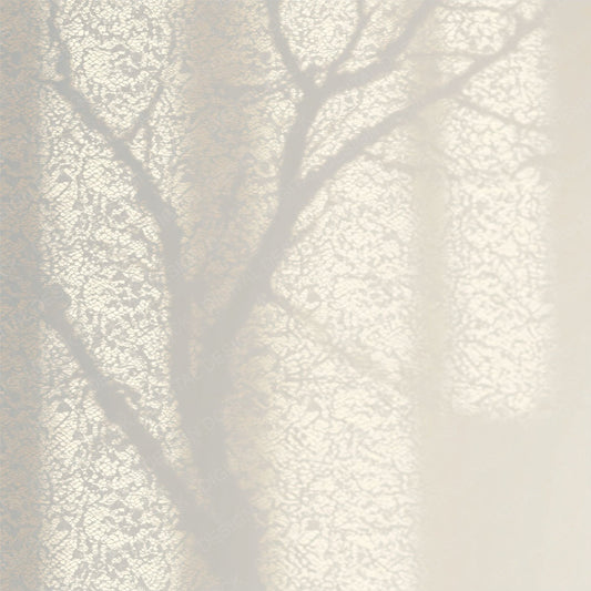 Shadow Lace Ivory Dove Digital Paper Pack (DDD012497)