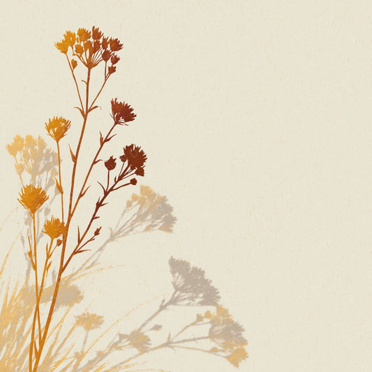 Shadow Wildflower Buttermilk Honey Digital Paper Pack (DDD012504)