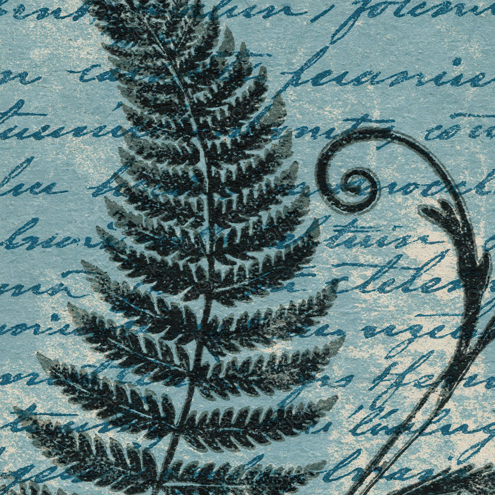 Woodblock Fern Script Charcoal Graphite Digital Paper Pack (DDD012511)