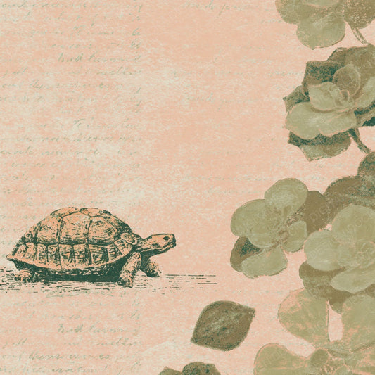 Woodblock Tortoise Succulent Olive Peach Digital Paper Pack (DDD012544)