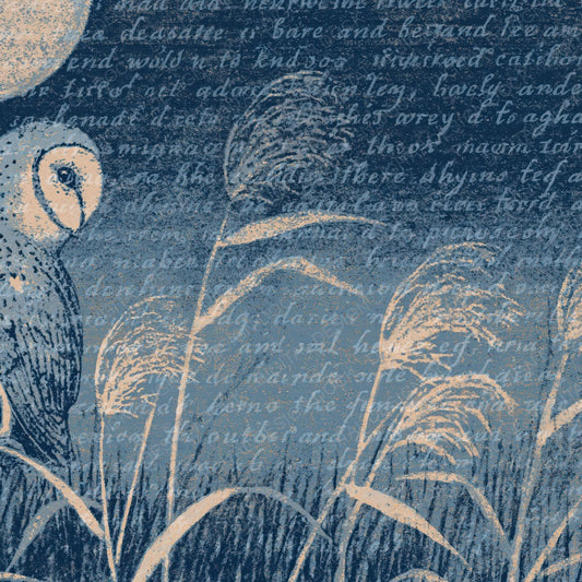 Woodblock Barn Owl Midnight Digital Paper Pack (DDD012611)